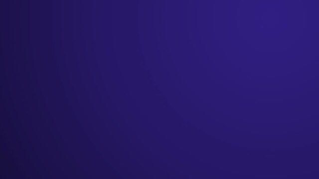 Preview of NavAccess Case Study Study Outline